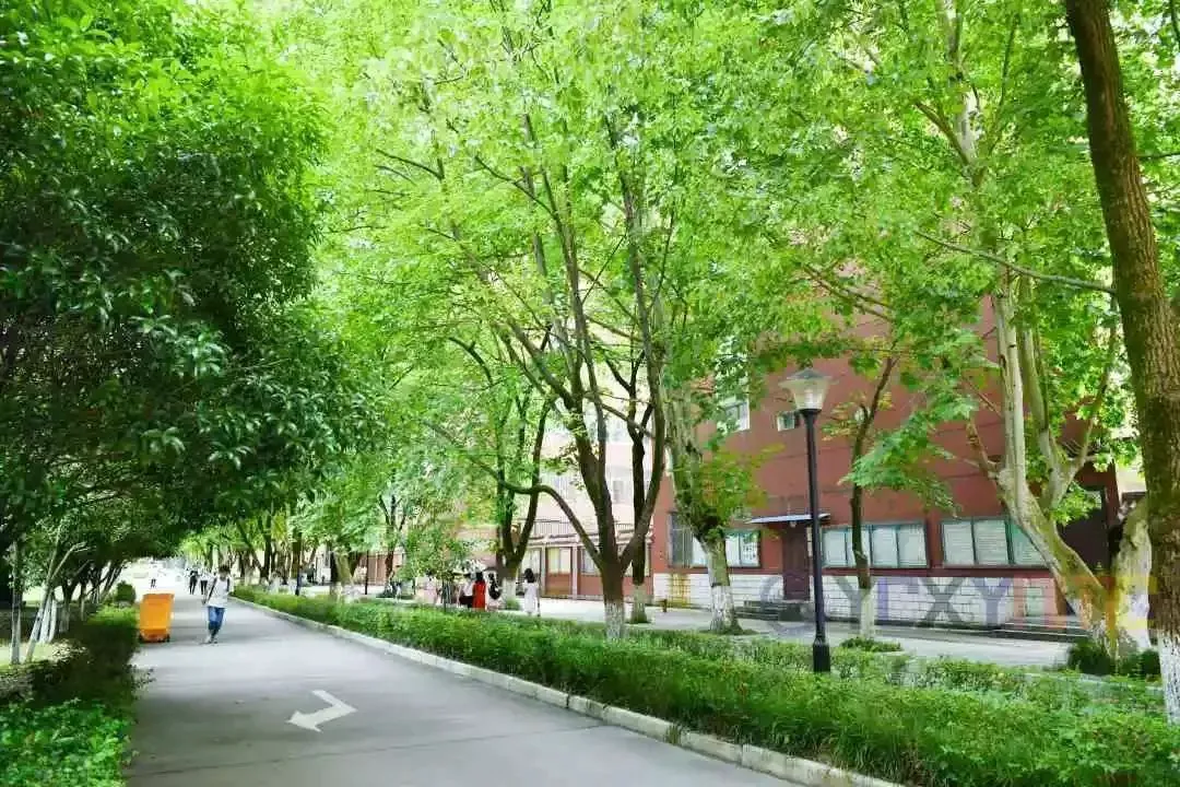 如何通过奖励机制提升篮球训练的趣味性_1
